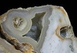 Agatized Fossil Coral With Druzy Quartz - Florida #50793-2
